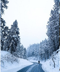 仙女山下雪了!恍惚在北海道的感觉