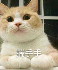 �������ıʺܺõ�bg�������