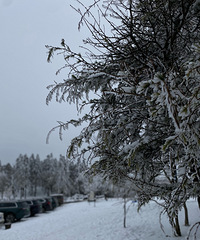 ���������ڴ�����ѩ�����������ޣ�����.