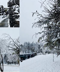 说走就走到仙女山耍雪,雪还有这么厚