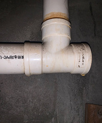 ��¥���Ǹ�Ů�ļ��������