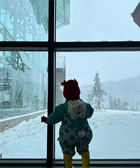 ȥˣѩסľƵ꣬˵˵ʵ