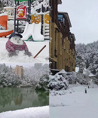 在自己的避暑房也能耍雪了!雪景不要太美