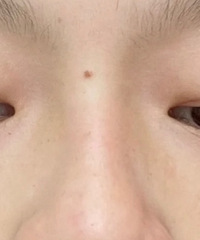 ��׷����½����������ڵ�һ���¡�������˫��Ƥ