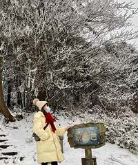 吹爆这次买的鹅绒服,黄色和红色搭配起来,拍雪景简直太好看