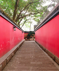 ����桰�ʹ���ǽ��