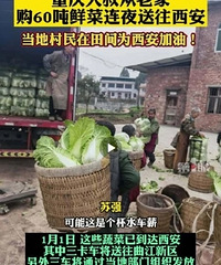 男子购60吨爱心蔬菜送西安