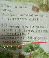 教材上写夏天摘草莓,错了没?冬草莓是被催熟的?
