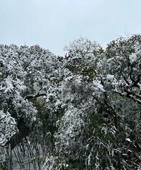 ȥɽ30ӵľ뿪4Сʱҵǡ