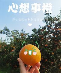 长寿慢城安逸,298的民宿包两个人的三餐,赶乡村场钓鱼摘橙子