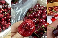 2022����������Ź���������ʵ�ֳ���������