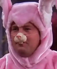 ����������õĽڼ���ʲô��