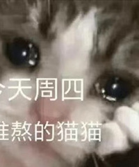 ������ֵ���򡿷�����24��92��С��ţţ��12ƿ45