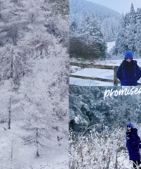 打卡重庆小众耍雪地,免费还没人