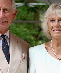 ������Ҫ�����󣿵�������λ�ɶ���