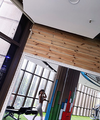 ��������һ�������ϳ�Ѫ����������