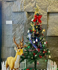 ���ս����򿨣�����Ŭ������