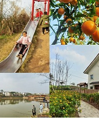 长寿新农村好安逸,赶场、钓鱼、摘橙子