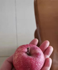 这是在PDD上花2块钱买的苹果,算不算踩坑?我亏还是商家亏?