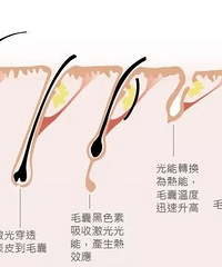 ������ë��ʲô���Ǹ������õ������֮��᲻���ٳ���