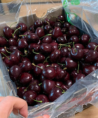 ����3J�ĳ����Ӻú�ѽ������� ���������ʣ�5��263�����