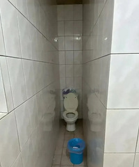 有人说,不知道这个马桶怎么上厕所?我来给大家示范一下