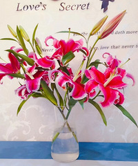 85��158CM���Ӹ��Է���С������飬��ҽԺ�ϰ�