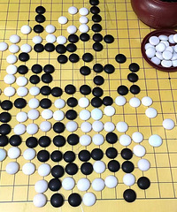 2021��̳���ѽ������ѵ��飬�мҳ�����10��