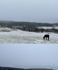 ѩŮɽһˣֱǲһľϲ