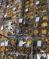 �����Գ��еĵ�̢�����������̢�����������