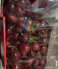 ����3j�����ӵ��ˣ��ڸв�������