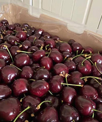 С�׸���ô���������˵˵��Ҷ�������Щ��ʳ�ɣ�