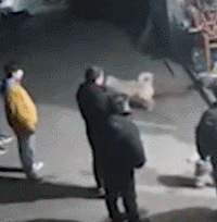 1ŮͯݼҹҧͷƤ˺ѣûǸû⳥