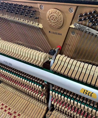 ��һ���������ϻ��ؽ�����������������������ڳɹ��ϰ�