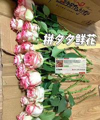 ƴ20Ǯʵʻɣһѣûв