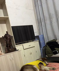 真心感谢购物狂让我遇见了我老公,我公公真的好贴心好细心