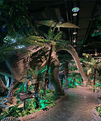 2022���꼶С��ͬѧ�ĺ�������