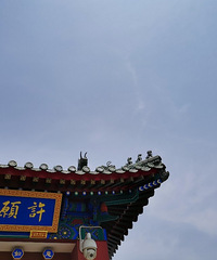 春节你们回家吗?我想一个人逃离,置身事外