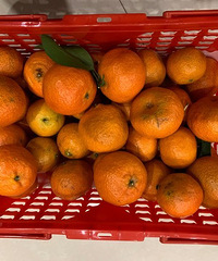 �������ˮ��������˵ʵ�������ر���������֣�������