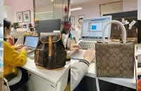 突袭同事们的上班包,不同品牌、价位的包都有