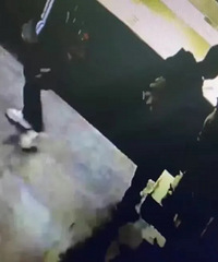 学生参观私人博物馆,不慎打碎价值130万文物
