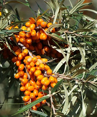 Խ��Խ�ֵ�8��ˮ������ʵ��������Ȼ���׷�����