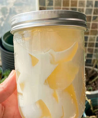 ���̲�ó�һ�ٱ����涳ײ�̣�����ȥ��