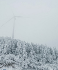 ȥܱ˵Ŀ֣סľƵƴѩ