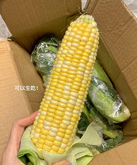 拼夕夕这家玉米让我不住想夸!又脆又甜特别嫩!还爆汁!