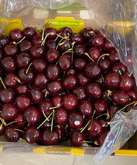 ����������䳵���ӵ�����û���ϴ���ɱ�����ʣ����ǳ��˵�ͦ��