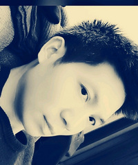 33178CMϲѧĸ飬Ӫ˾