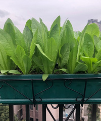 ûֲҲܳóãҼҵ߲˶óԲ