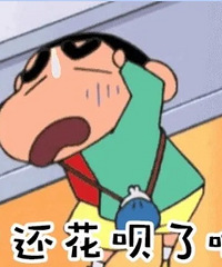 你怀疑过支付宝的花呗账单是否属实吗?一起来说看看