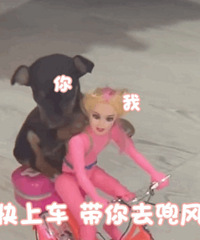 ��27ֵ���򡿸�¶������5֧39���������¼Ҿӿ�39